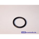 Dichtring ( 1990-1993  )